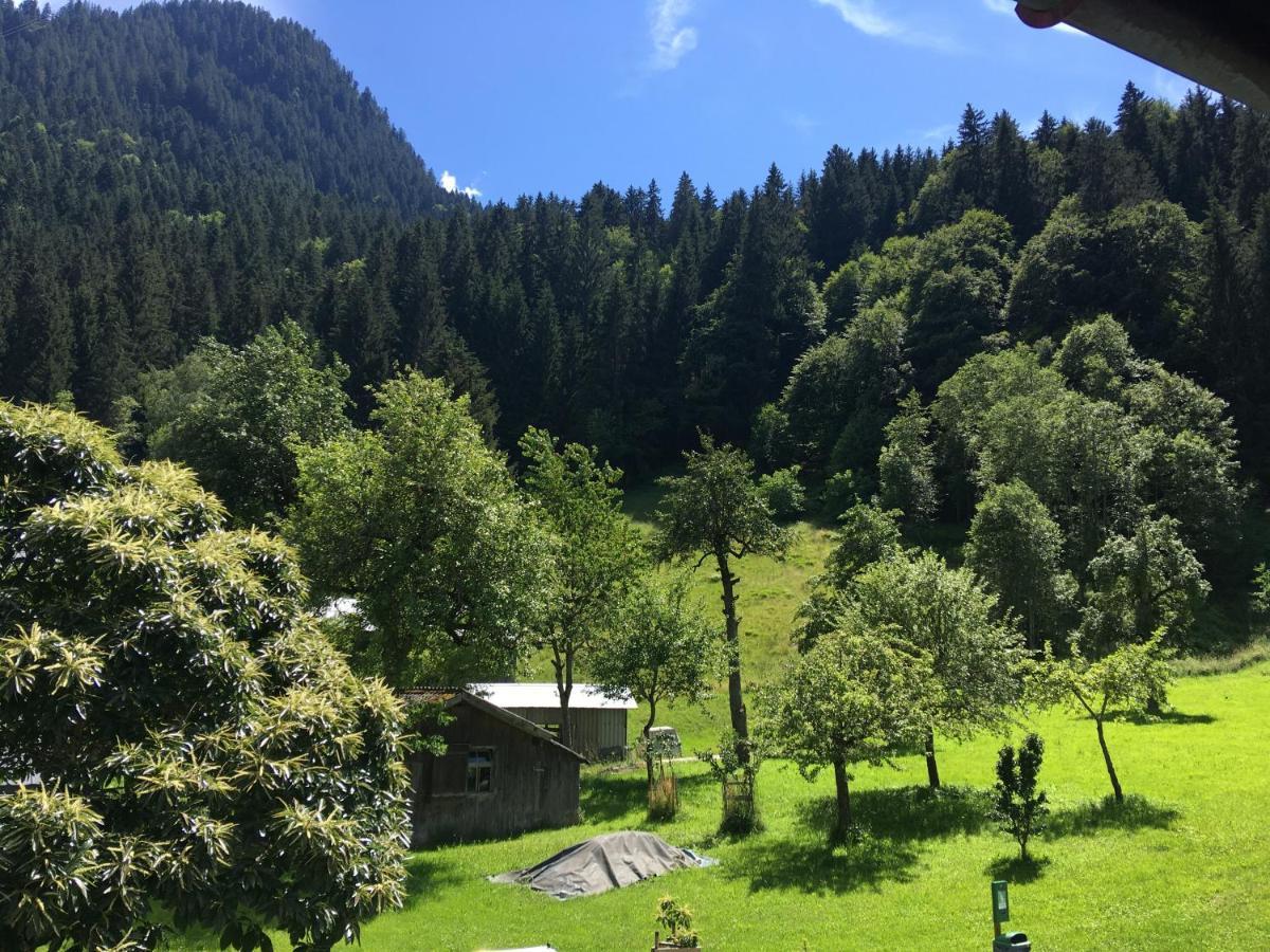 Haus Galgenul Lägenhet Sankt Gallenkirch Exteriör bild