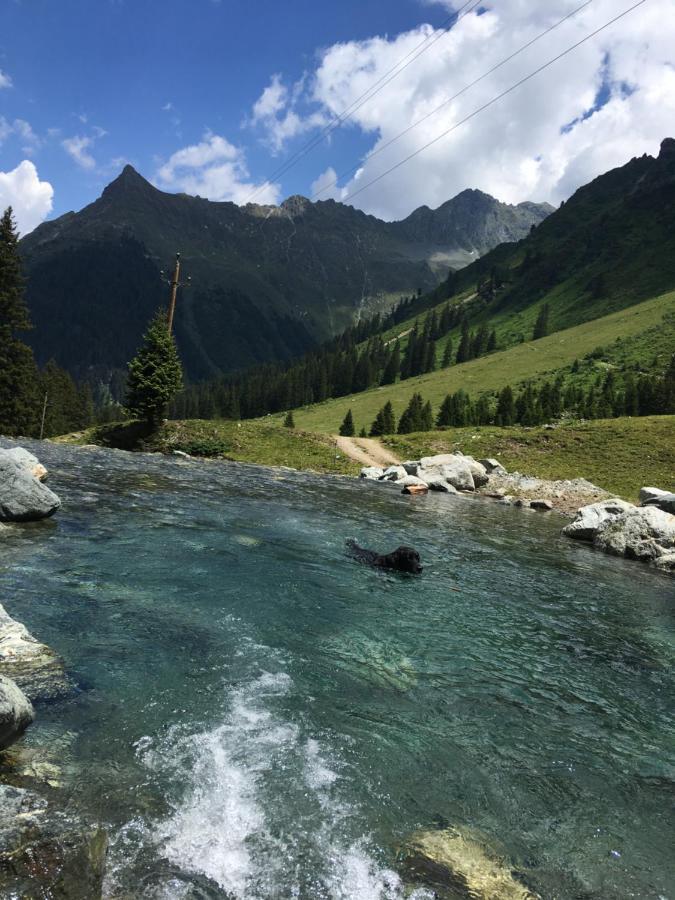 Haus Galgenul Lägenhet Sankt Gallenkirch Exteriör bild
